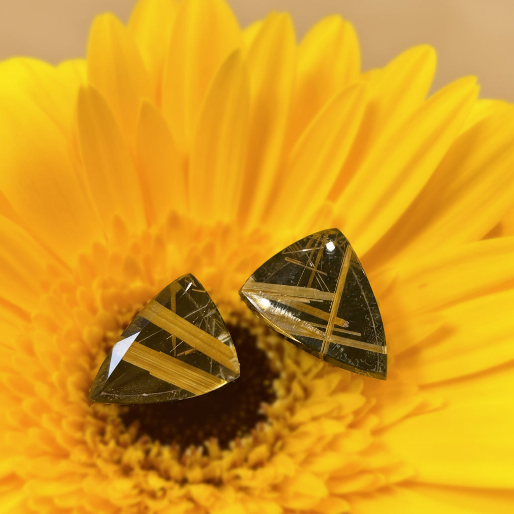 Onyx Black Rutile Quartz Pair Shield