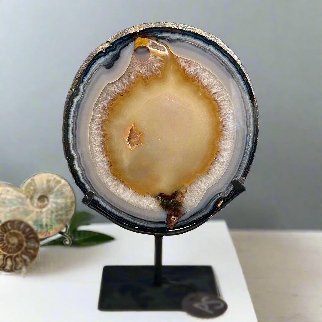 Circle Druzy Agate Slice
