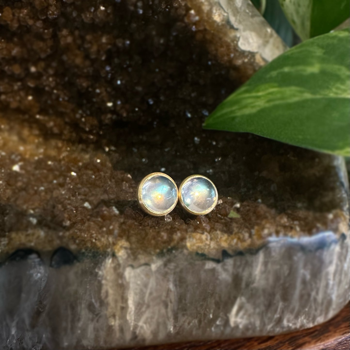 Round Moonstone Bezel Studs