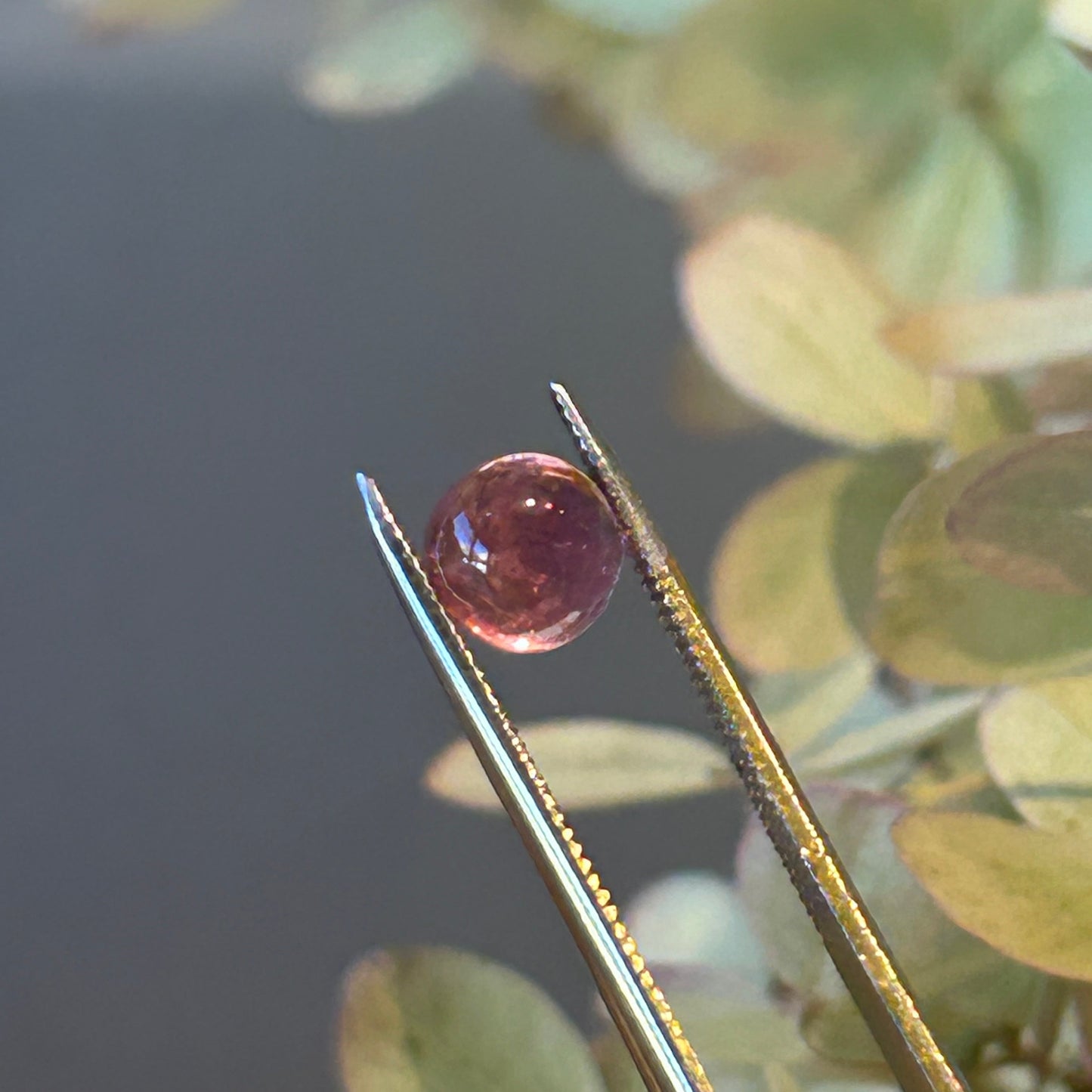 Pink Tourmaline Cabochon 1.47ct