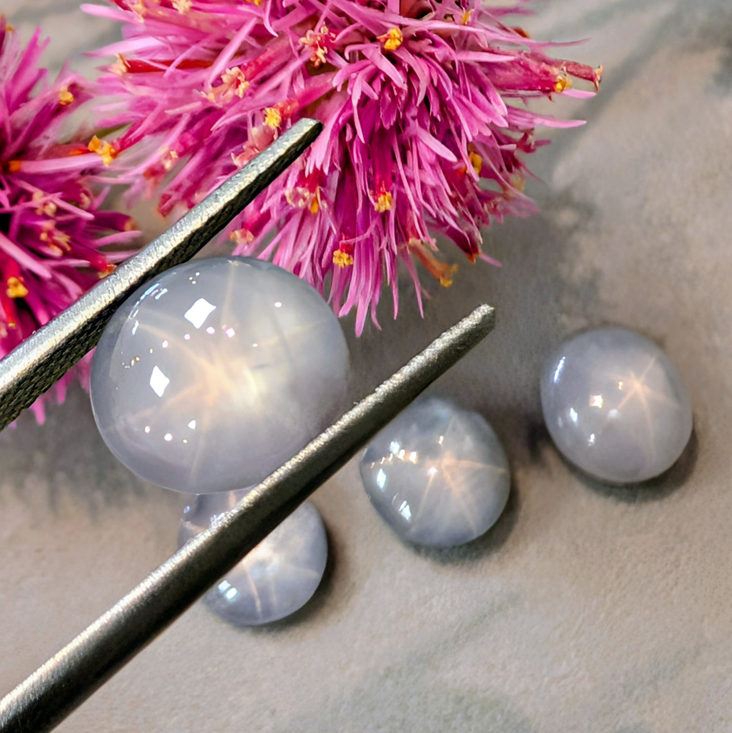 Oval Star Sapphire